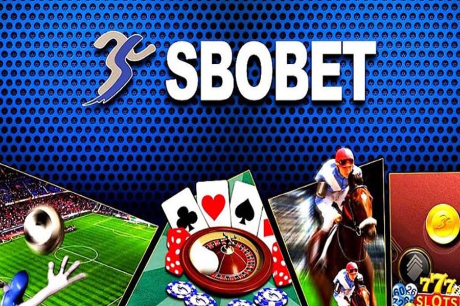 Điểm nổi bật của các trò cá cược Sbobeer Sbobet